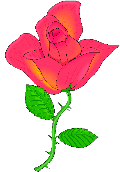 red rose (24573 bytes)